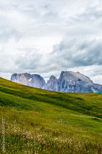 Alpe di Siusi, Seiser Alm with Sassolungo Langkofel Dolomite, a large green field with a mountain in the background © SkandaRamana