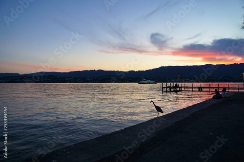 Grausittich in zürich in der schweiz photo