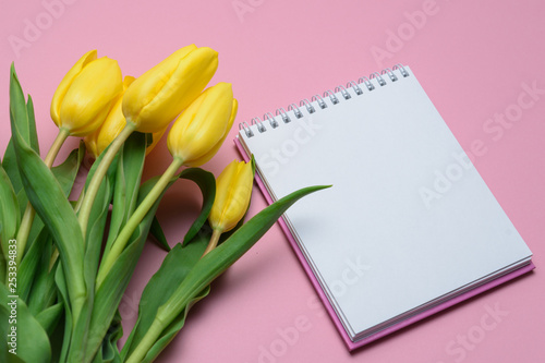 Fototapeta Naklejka Na Ścianę i Meble -  flowers yellow tulips on a pink background with