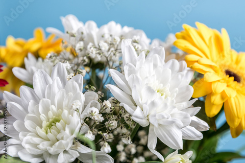 A bouquet of bright flowers on a colored background