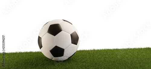 Soccer ball on grass panorama isolated white background 3d-illustration © wetzkaz