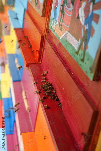 Close up of bees entering beehives of colorful hand painted apiary boxes of traditional scenes at Kralov Med in Selo near Bled Slovenia © Reimar