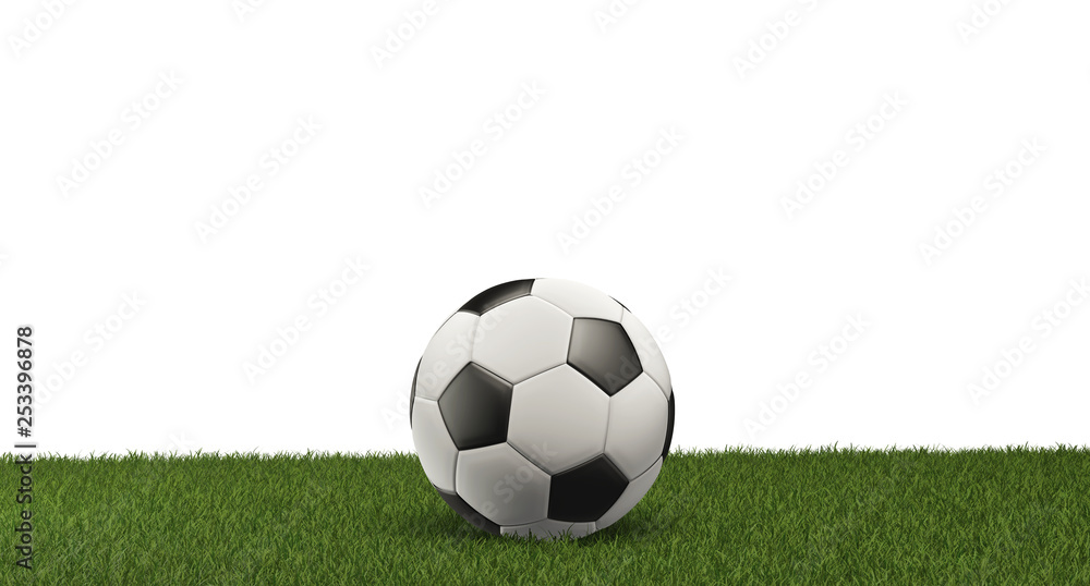 Fototapeta premium Soccer ball on grass panorama isolated white background 3d-illustration