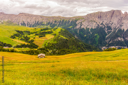 Alpe di Siusi, Seiser Alm with Sassolungo Langkofel Dolomite, a large green field with a mountain in the background