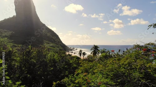 tropical, water, relax, island, fernando de noronha, sand, landscape, paradise, ocean, blue, nature, beach, sea, summer, pernambuco, sunny, view, holiday, coast, travel, green, beautiful, sun, photo