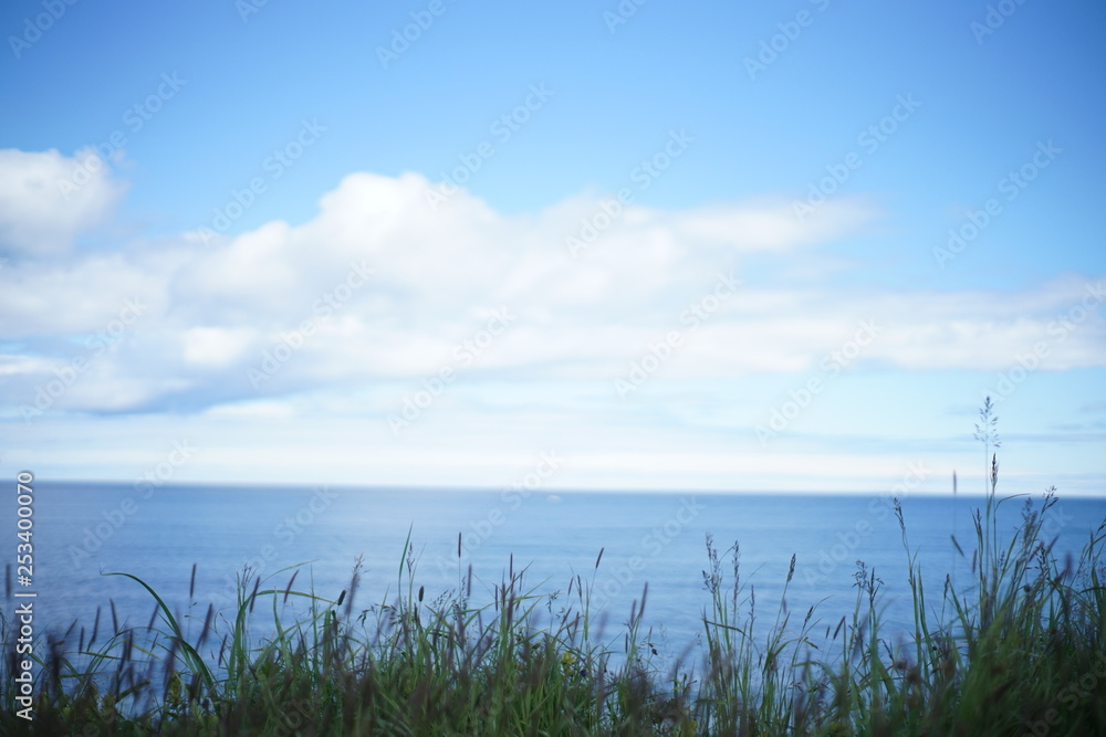 Ocean Horizon and Grass