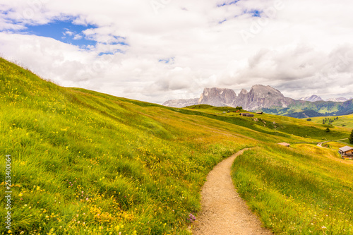 Alpe di Siusi, Seiser Alm with Sassolungo Langkofel Dolomite, a trekking walking winding path in a lush green field