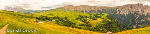 Alpe di Siusi, Seiser Alm with Sassolungo Langkofel Dolomite, a large mountain in the background panorama