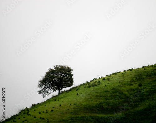 Santa Paula Califonria Outdoors in Spring on a cloudy day photo