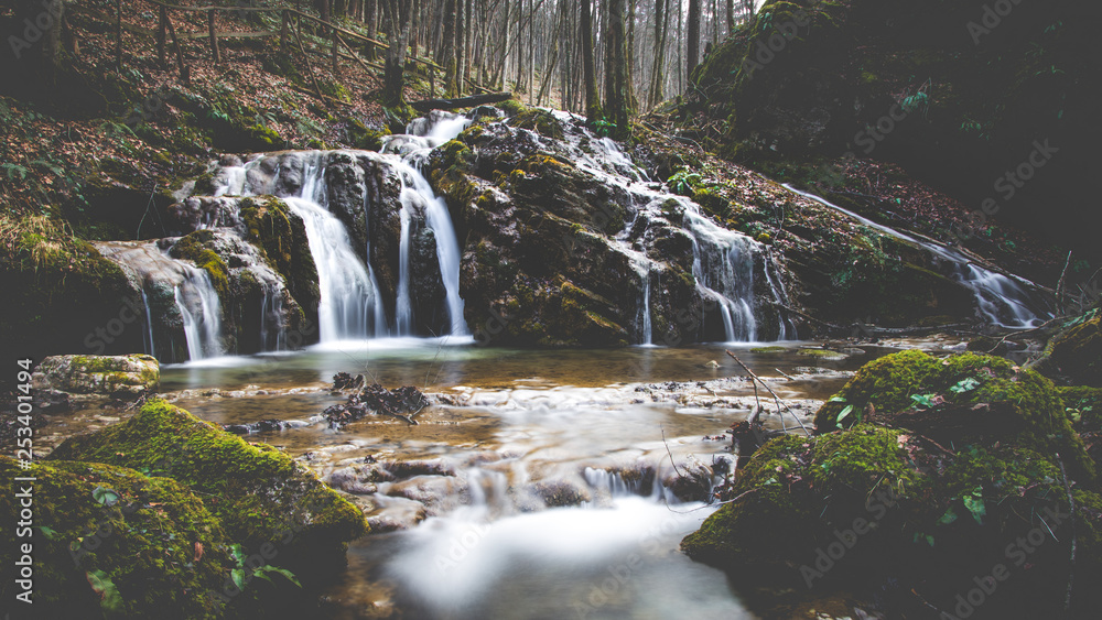 Obraz premium The wild stream