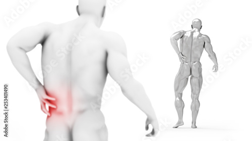 Male torso  pain in the back isolated on white background. 3d render illustration. Medical care concept