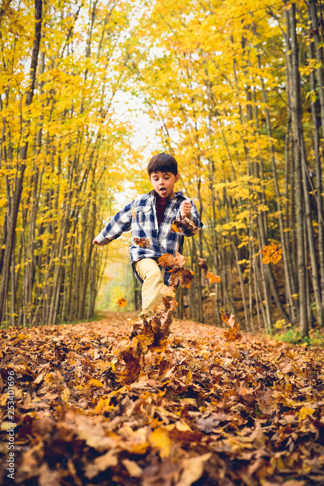 Boy playing with autumn leaves in forest Boy playing with autumn leaves in forest