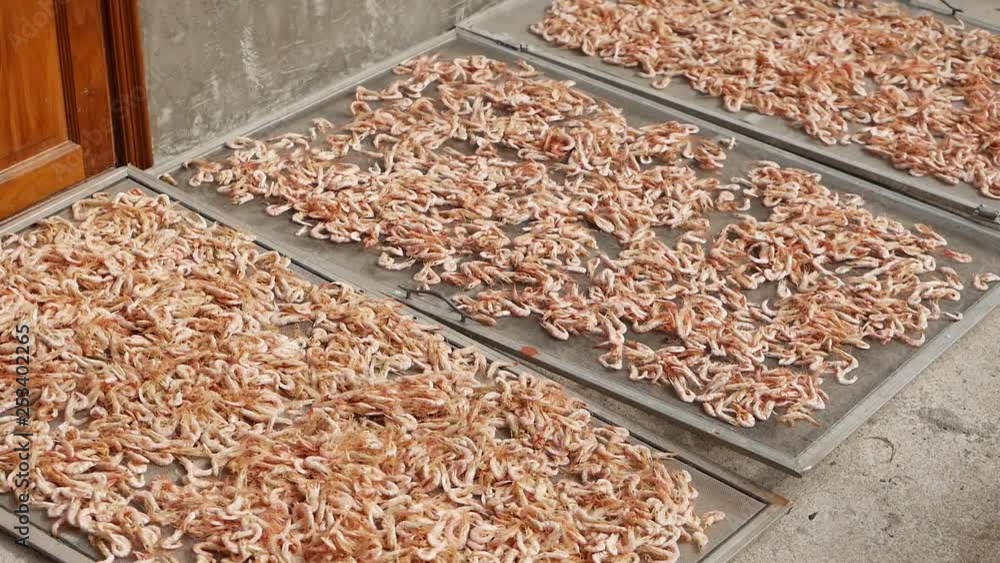 Dried Salted Prawn
Dried Salted Shrimps Dried Salted Prawn
Dried Salted Shrimps