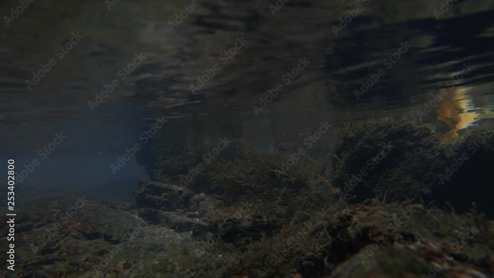 Underwater view of a rive murkyr flowing. Underwater view of a rive murkyr flowing.