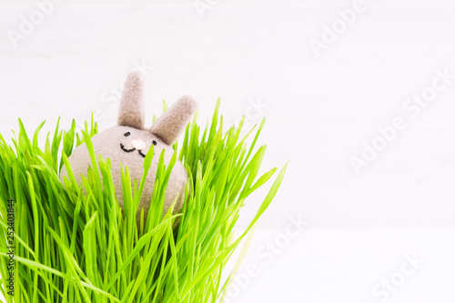 Spring Easter concept with cute soft bunny in natural grass