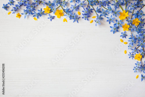 Background with spring blue and yellow flowers