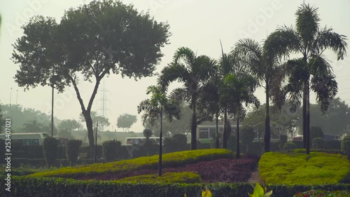 Panning to the Tall palm trees in the garden, Traffic is going on the Road at the back of the park, an electric high voltage poll at the back photo