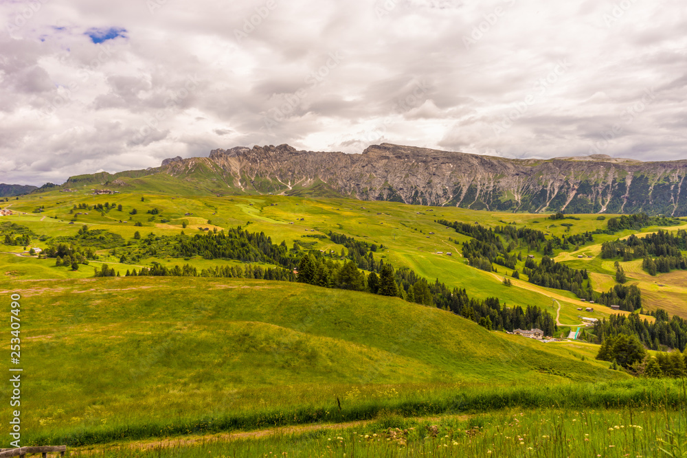 Alpe di Siusi, Seiser Alm with Sassolungo Langkofel Dolomite, a close up of a lush green field Alpe di Siusi, Seiser Alm with Sassolungo Langkofel Dolomite, a close up of a lush green field