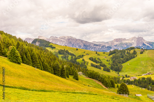 Alpe di Siusi, Seiser Alm with Sassolungo Langkofel Dolomite, a large green field with a mountain in the background © SkandaRamana