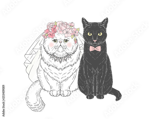 White persian cat bride in wedding veil and floral diadem and black cat groom in bow tie. Vector hand drawn animal illustration for save the date wedding party design.