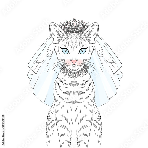 Beautiful white cat royal bride in diadem necklace and wedding veil. Vector hand drawn realistic cat illustration. Perfect for wedding party design.