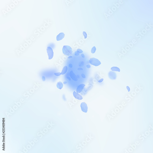 Dark blue flower petals falling down. Terrific rom