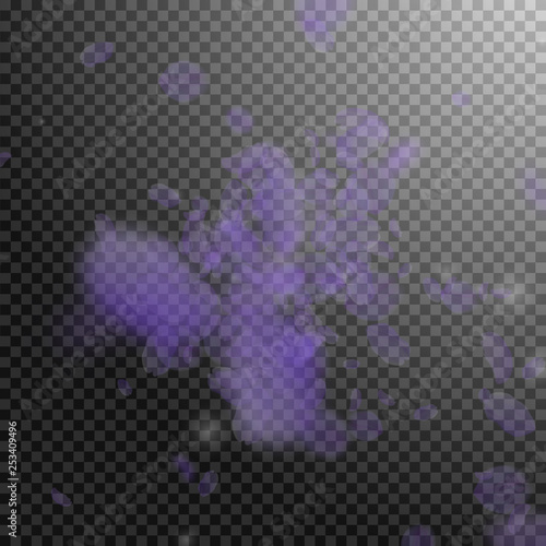 Violet flower petals falling down. Flawless romant