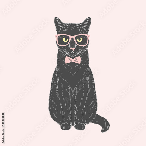 Black male cat dressed up in tie bow and glasses on pink background. Vector hand drawn fashion animal illustration.