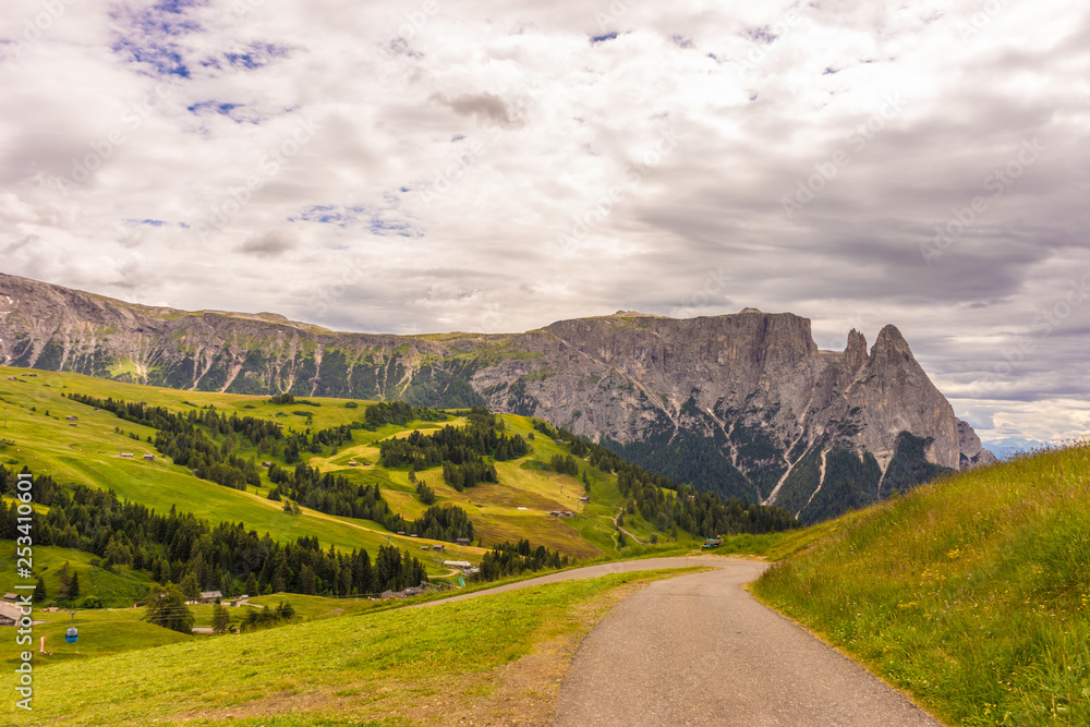 Alpe di Siusi, Seiser Alm with Sassolungo Langkofel Dolomite, a trekking walking winding path in a lush green field panorama Alpe di Siusi, Seiser Alm with Sassolungo Langkofel Dolomite, a trekking walking winding path in a lush green field panorama