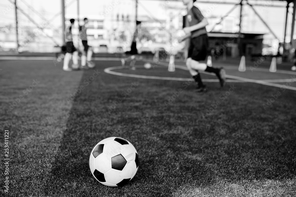 Fototapeta premium black and white picture of football on artificial turf
