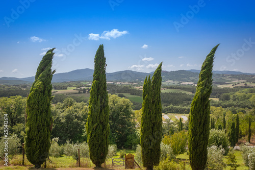 Four cypress trees bent by the wind in the Tuscan countryside with hills in the background