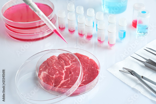 Meat sample in open  disposable plastic cell culture dish in modern laboratory or production facility