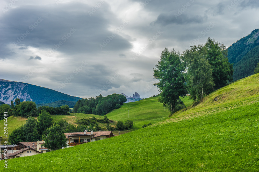 Alpe di Siusi, Seiser Alm with Sassolungo Langkofel Dolomite, a large green field with trees in the background Alpe di Siusi, Seiser Alm with Sassolungo Langkofel Dolomite, a large green field with trees in the background