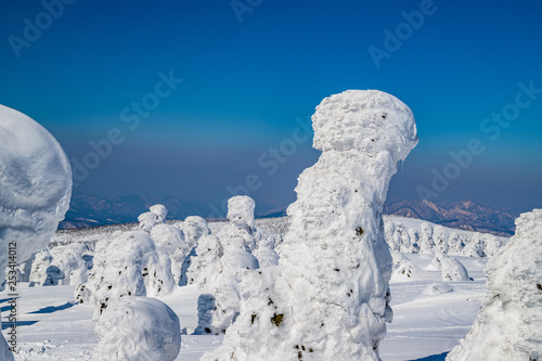  Towada Hachimantai National Park Hachimantai Frost-covered trees