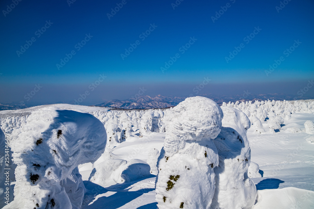 Towada Hachimantai National Park Hachimantai Frost-covered trees Towada Hachimantai National Park Hachimantai Frost-covered trees