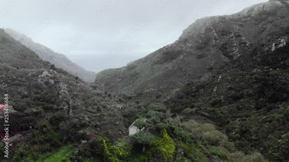 Aerial shot. A picturesque highland village in the canyon between two hills and mountains. Palm trees and unusual tropical trees. The concept of serenity and untouched nature. Tenerife, Canary Islands Aerial shot. A picturesque highland village in the canyon between two hills and mountains. Palm trees and unusual tropical trees. The concept of serenity and untouched nature. Tenerife, Canary Islands