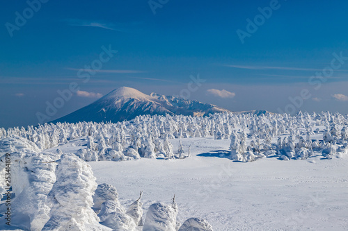  Towada Hachimantai National Park Hachimantai　　 Frost-covered trees photo