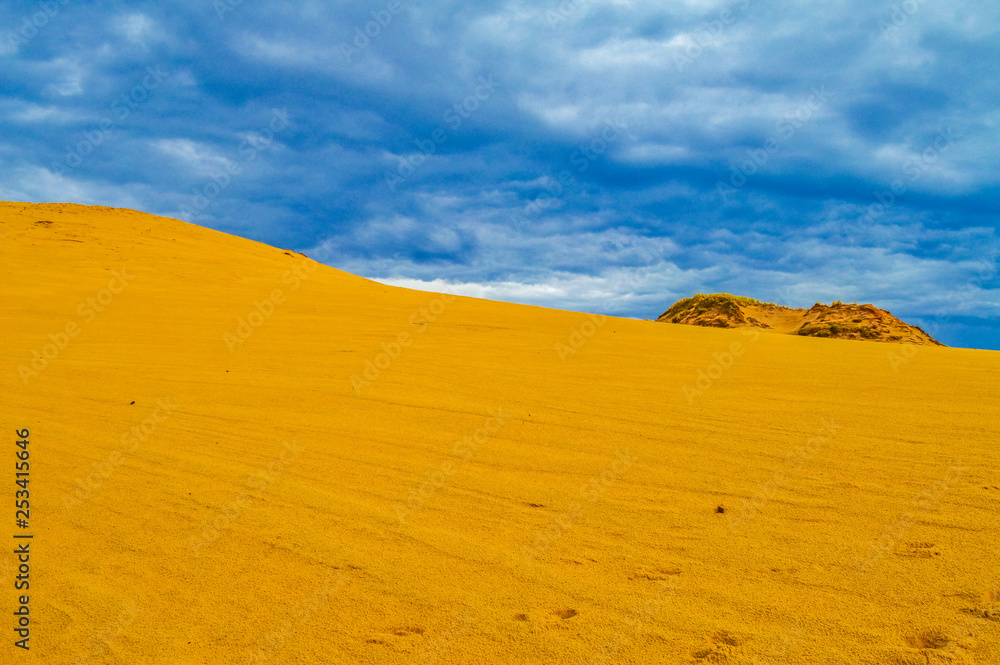 Dunes of Leba in the desert of Slowinski National Park, Poland Dunes of Leba in the desert of Slowinski National Park, Poland