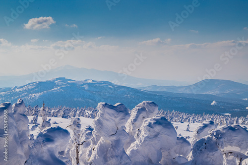  Towada Hachimantai National Park Hachimantai Frost-covered trees