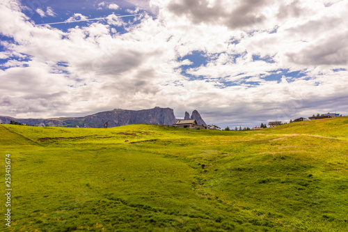 Alpe di Siusi, Seiser Alm with Sassolungo Langkofel Dolomite, a close up of a lush green field