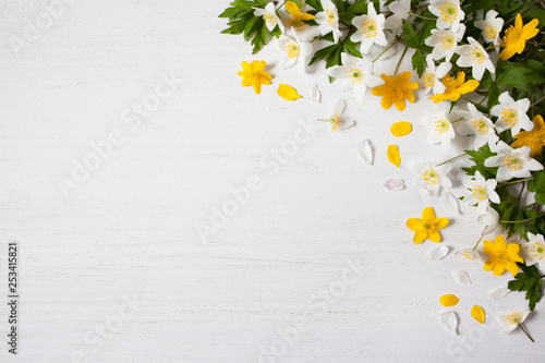 Background with spring white and yellow flowers anemones