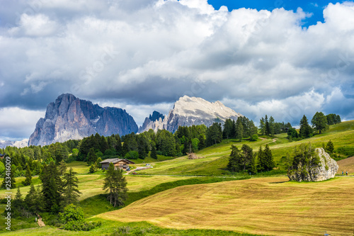 Alpe di Siusi  Seiser Alm with Sassolungo Langkofel Dolomite  a field with a mountain in the background