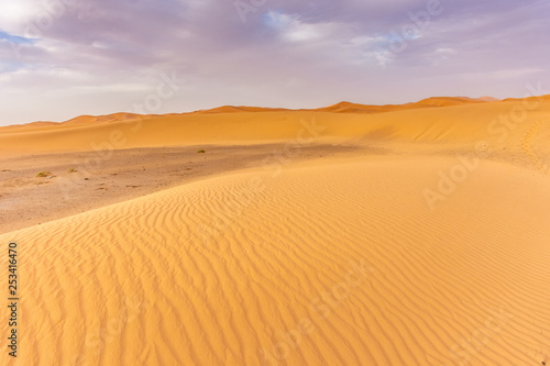 Beautiful landscape of the dunes in the Sahara Desert, Merzouga, Morocco © Stefano Zaccaria