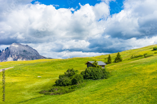 Alpe di Siusi, Seiser Alm with Sassolungo Langkofel Dolomite, a close up of a lush green field