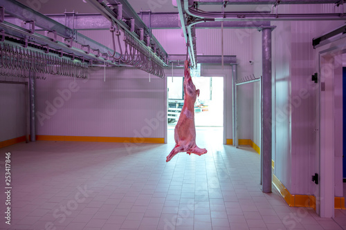 Refrigerated warehouse, hanging hooks of frozen lamb carcasses. Halal cut. photo