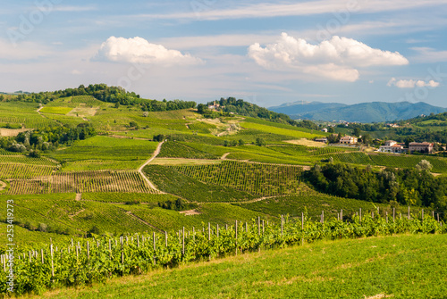Cultivated hills in Oltrepo' Pavese (Lombardy, Italy) photo