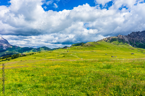 Alpe di Siusi  Seiser Alm with Sassolungo Langkofel Dolomite  a large green field with a mountain in the background