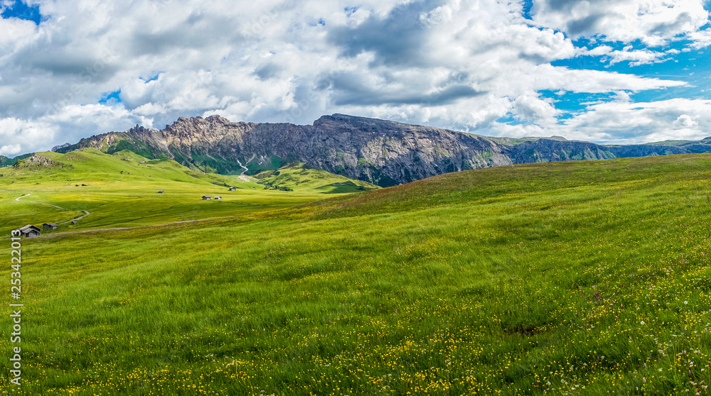 Fototapeta premium Alpe di Siusi, Seiser Alm with Sassolungo Langkofel Dolomite, a large green field with a mountain in the background