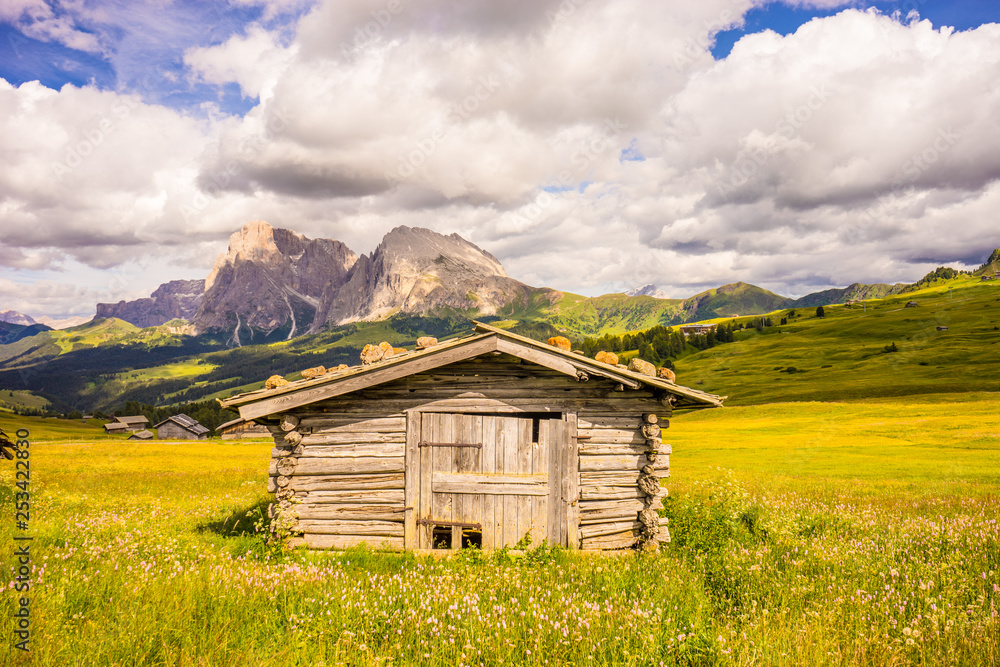Alpe di Siusi, Seiser Alm with Sassolungo Langkofel Dolomite, an old barn in a field