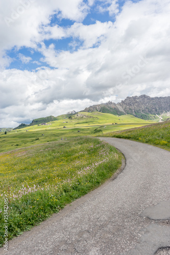 Alpe di Siusi, Seiser Alm with Sassolungo Langkofel Dolomite, a path with grass and trees